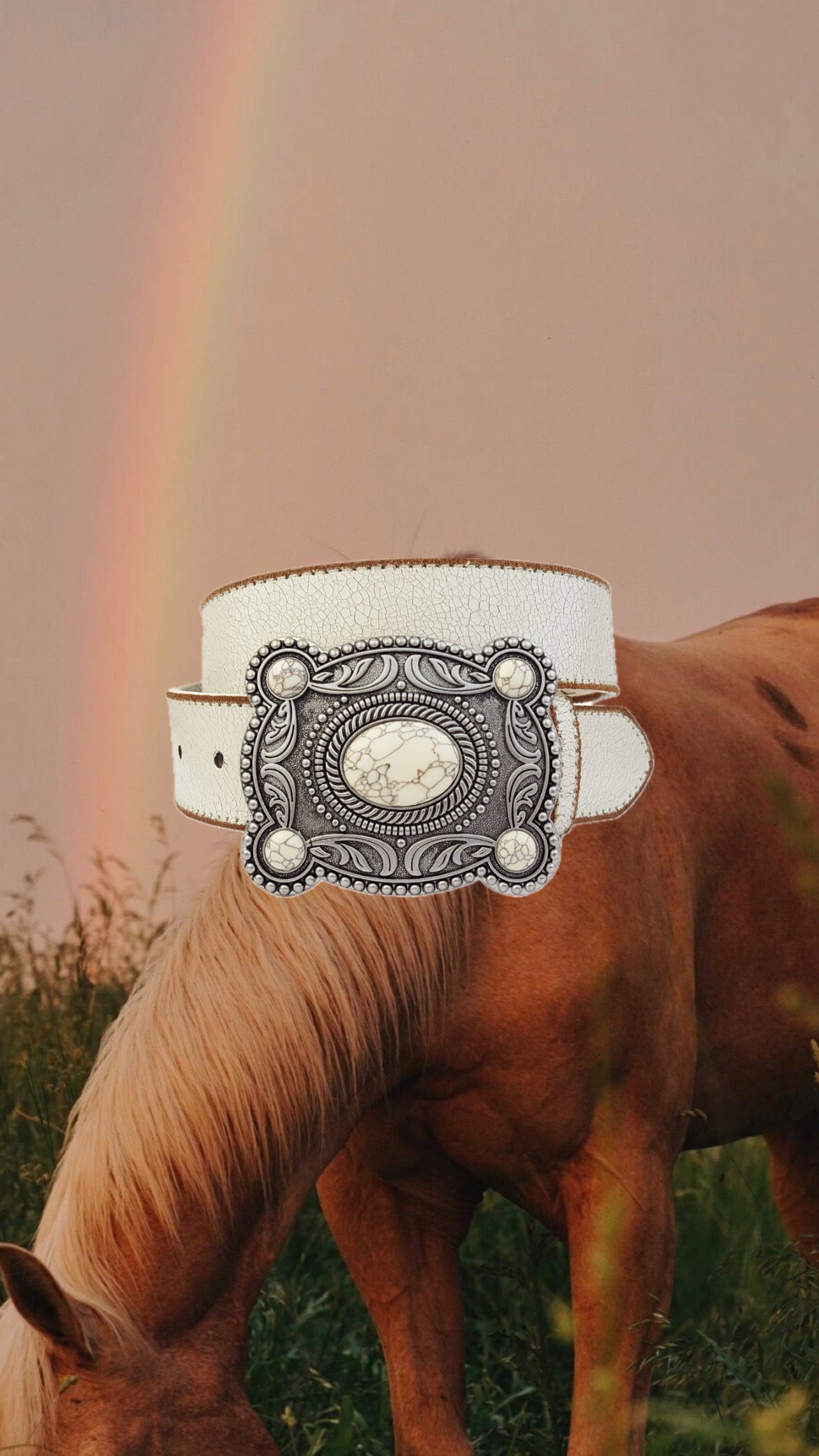 BELTS