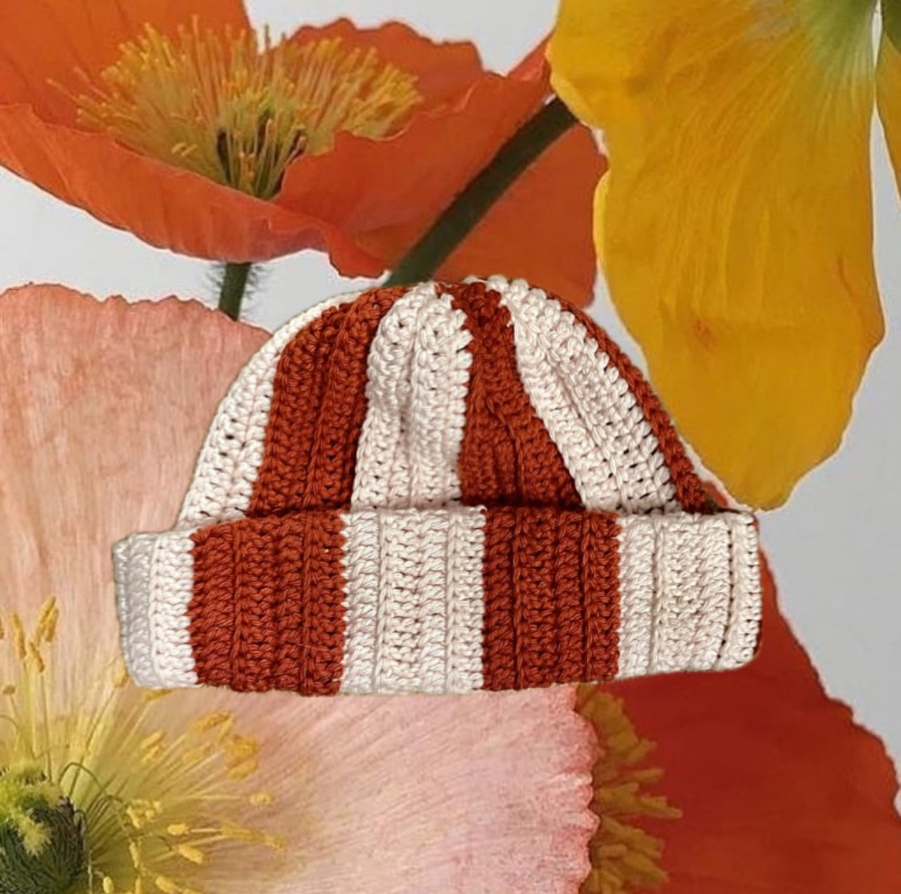 COFFEE MONEY BEANIES