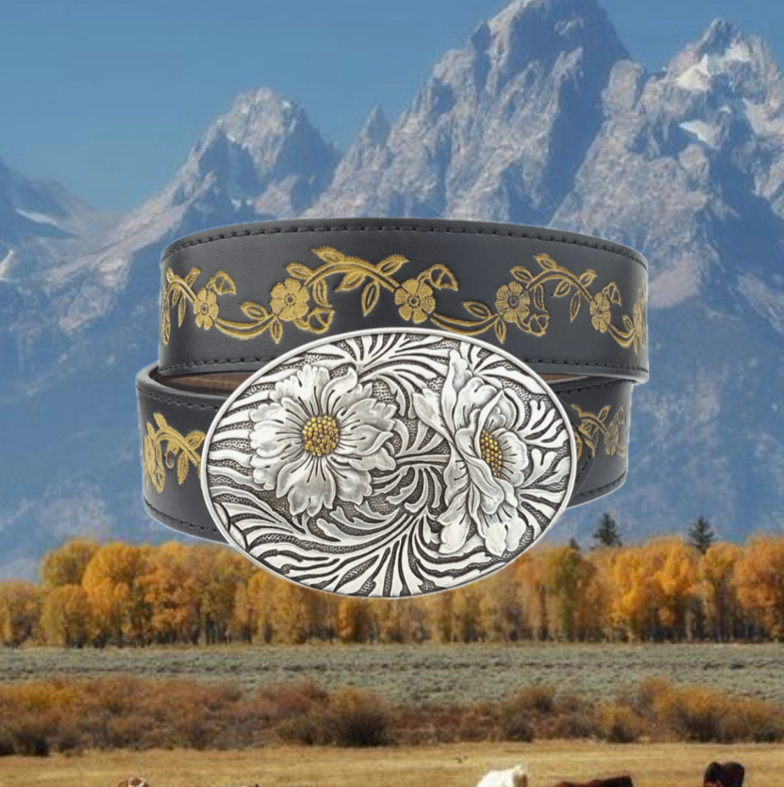 BELTS