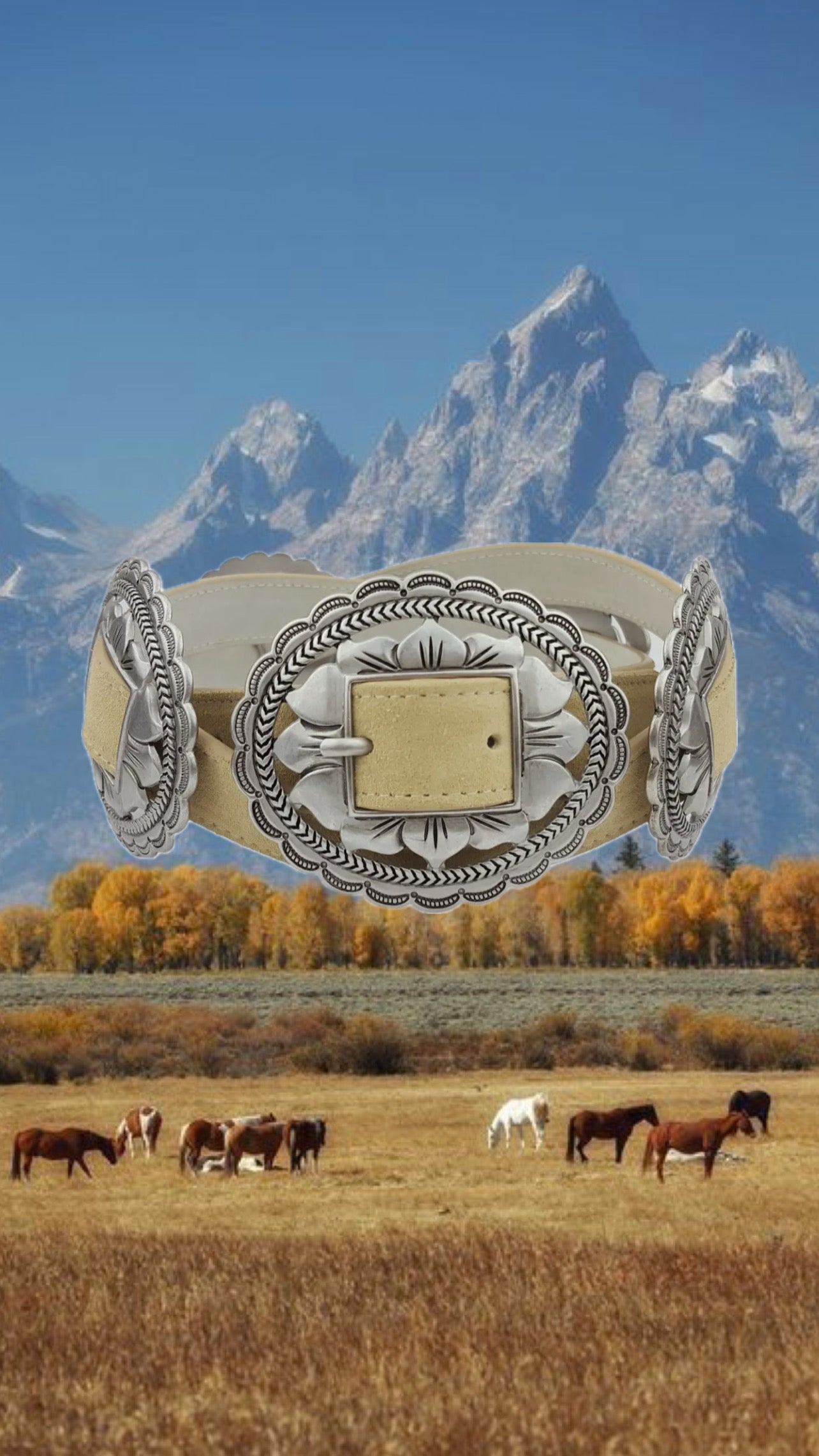 AXESORIA WEST Suede Sunflower Concho Belt Sand